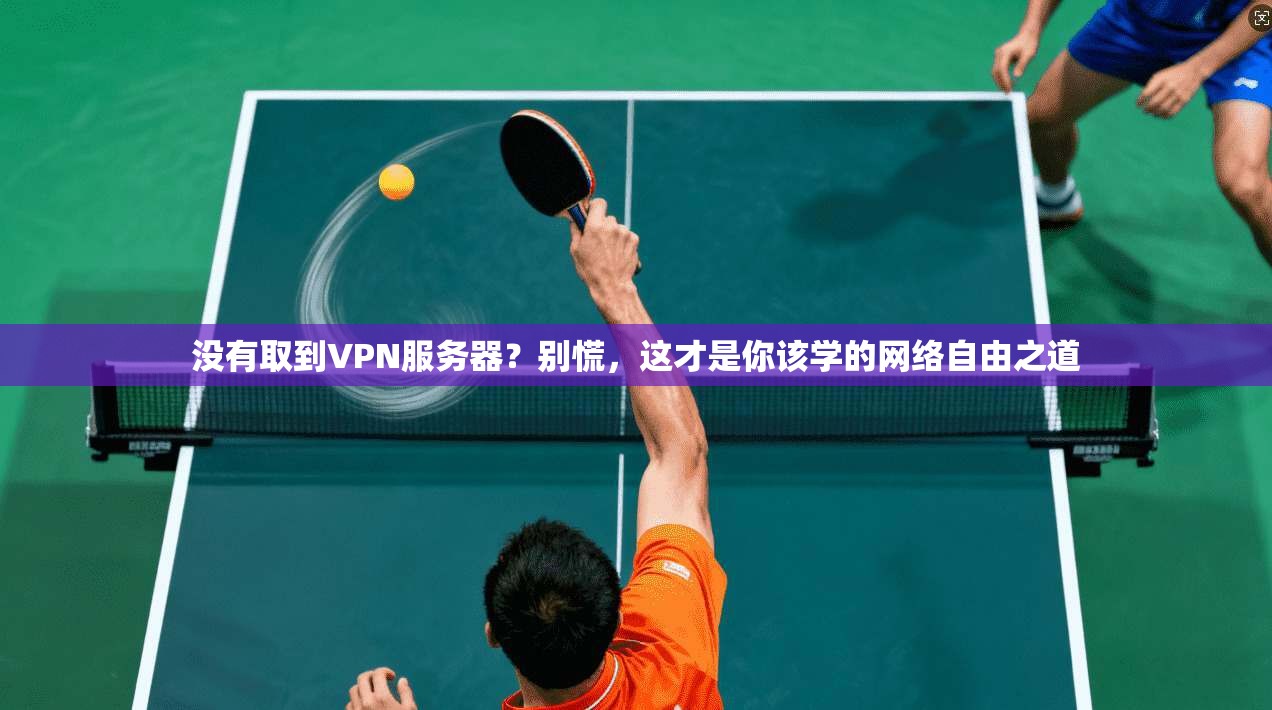 没有取到VPN服务器?别慌,这才是你该学的网络自由之道