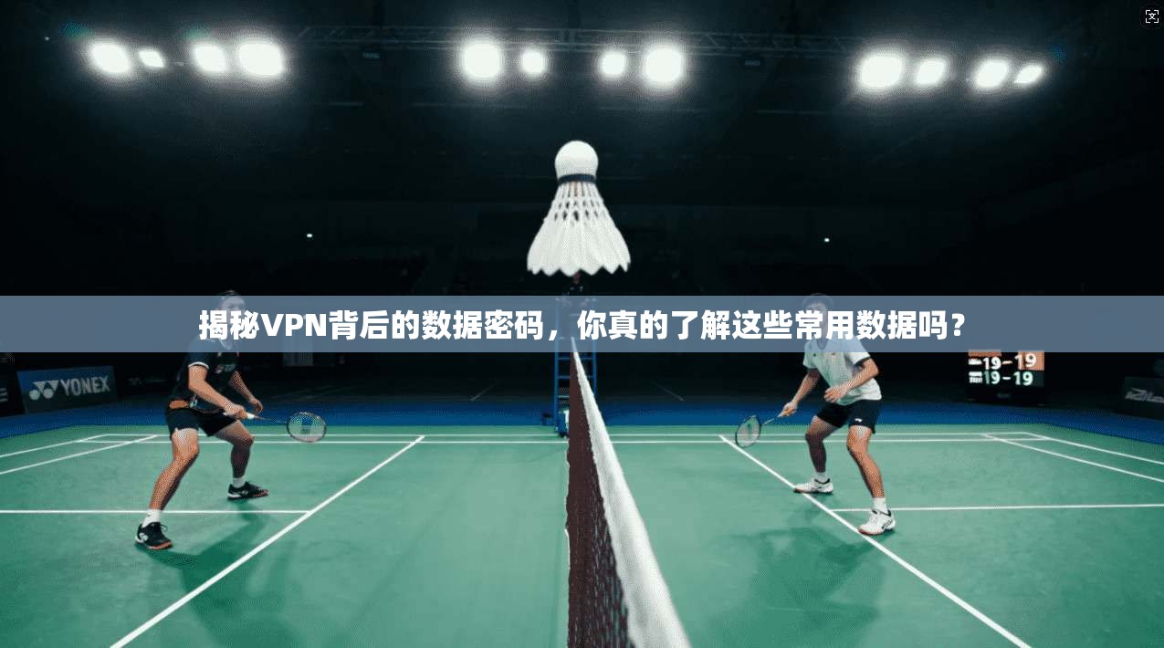 揭秘VPN背后的数据密码，你真的了解这些常用数据吗？