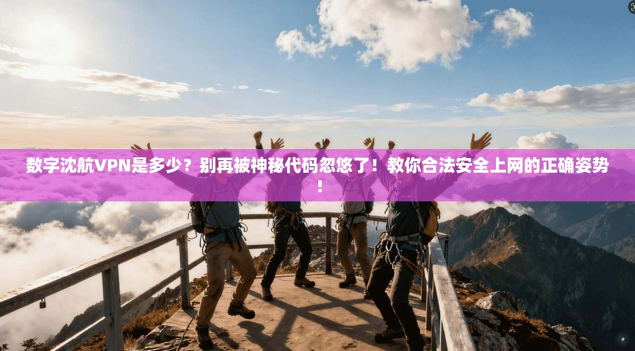 数字沈航VPN是多少？别再被神秘代码忽悠了！教你合法安全上网的正确姿势！