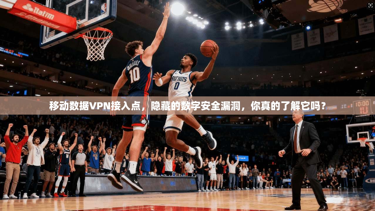 移动数据VPN接入点，隐藏的数字安全漏洞，你真的了解它吗？