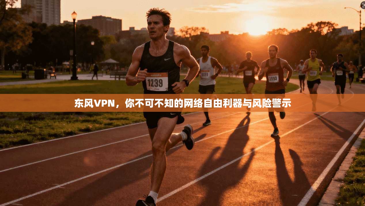 东风VPN，你不可不知的网络自由利器与风险警示