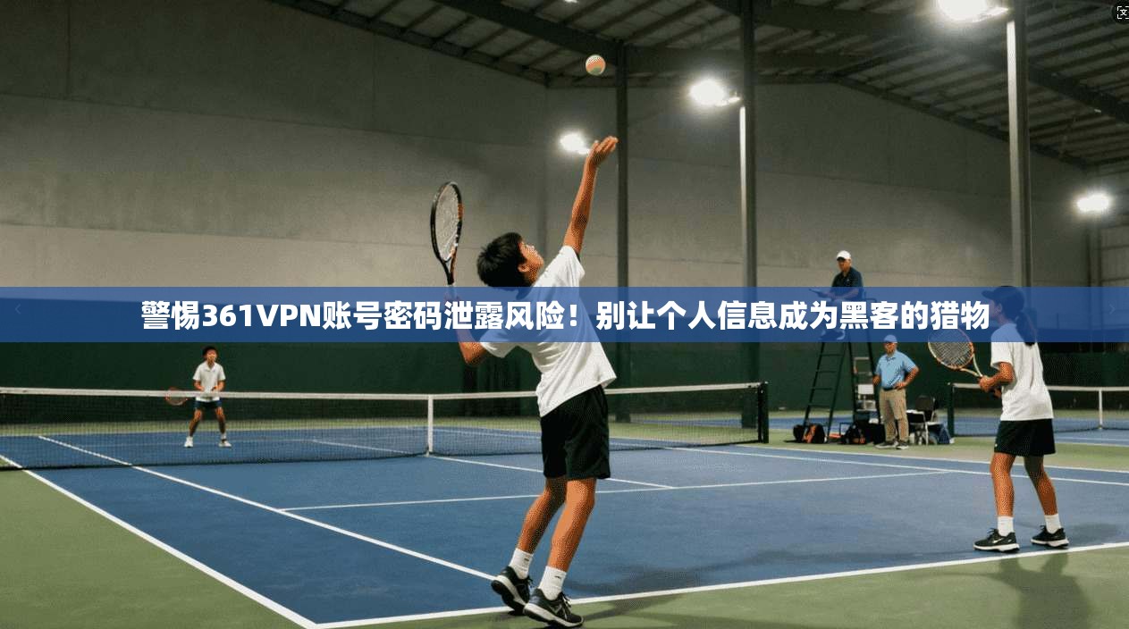 警惕361VPN账号密码泄露风险！别让个人信息成为黑客的猎物