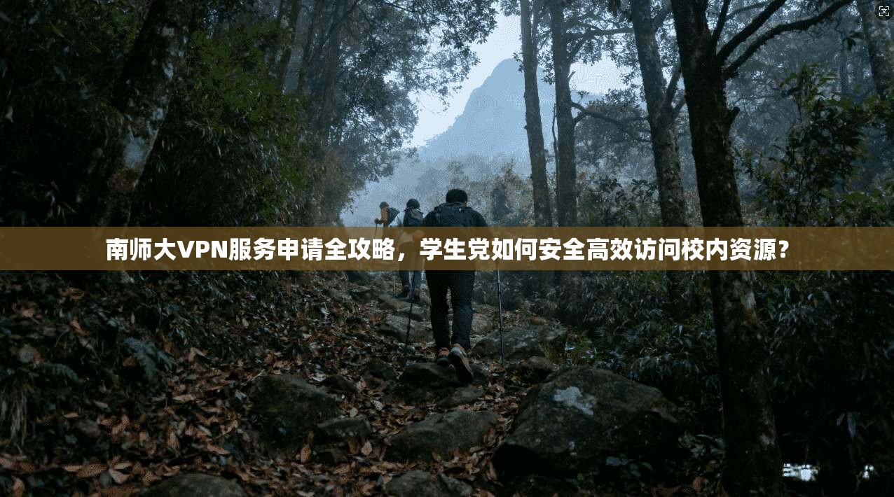 南师大VPN服务申请全攻略，学生党如何安全高效访问校内资源？