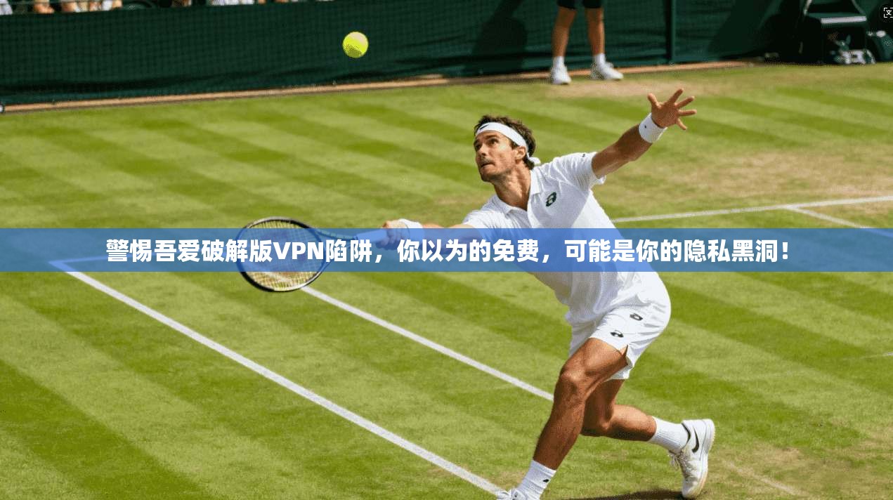 警惕吾爱破解版VPN陷阱,你以为的免费,可能是你的隐私黑洞!