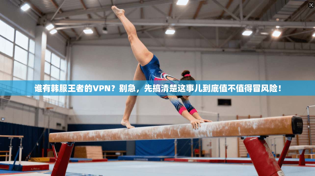 谁有韩服王者的VPN?别急,先搞清楚这事儿到底值不值得冒风险!