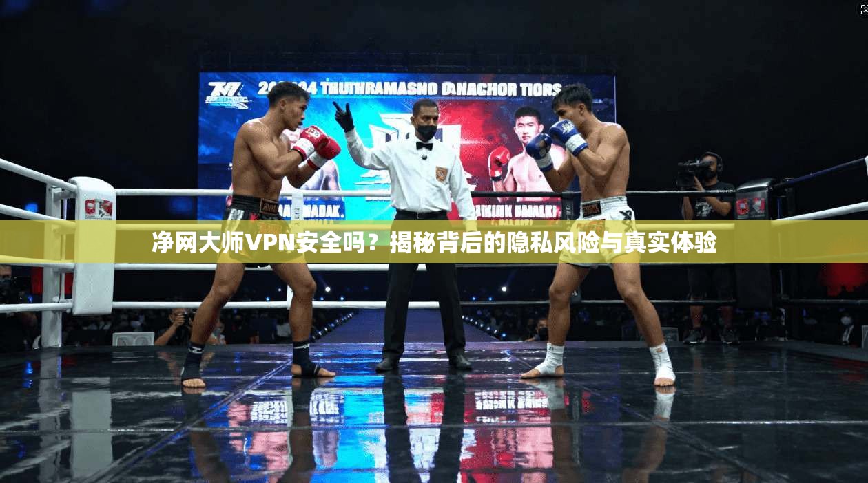 净网大师VPN安全吗?揭秘背后的隐私风险与真实体验