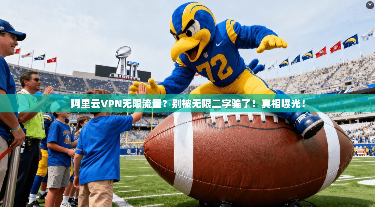 阿里云VPN无限流量？别被无限二字骗了！真相曝光！