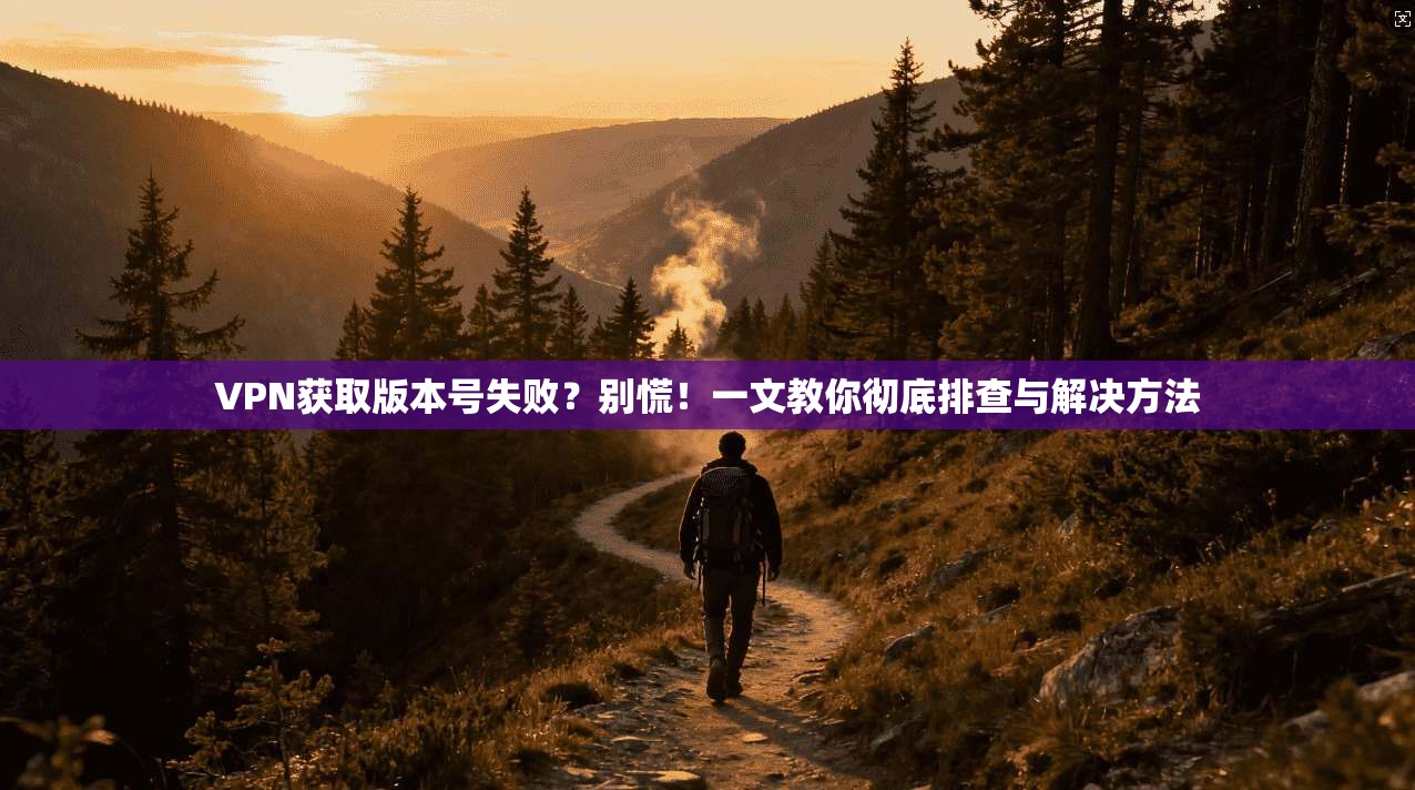 VPN获取版本号失败？别慌！一文教你彻底排查与解决方法