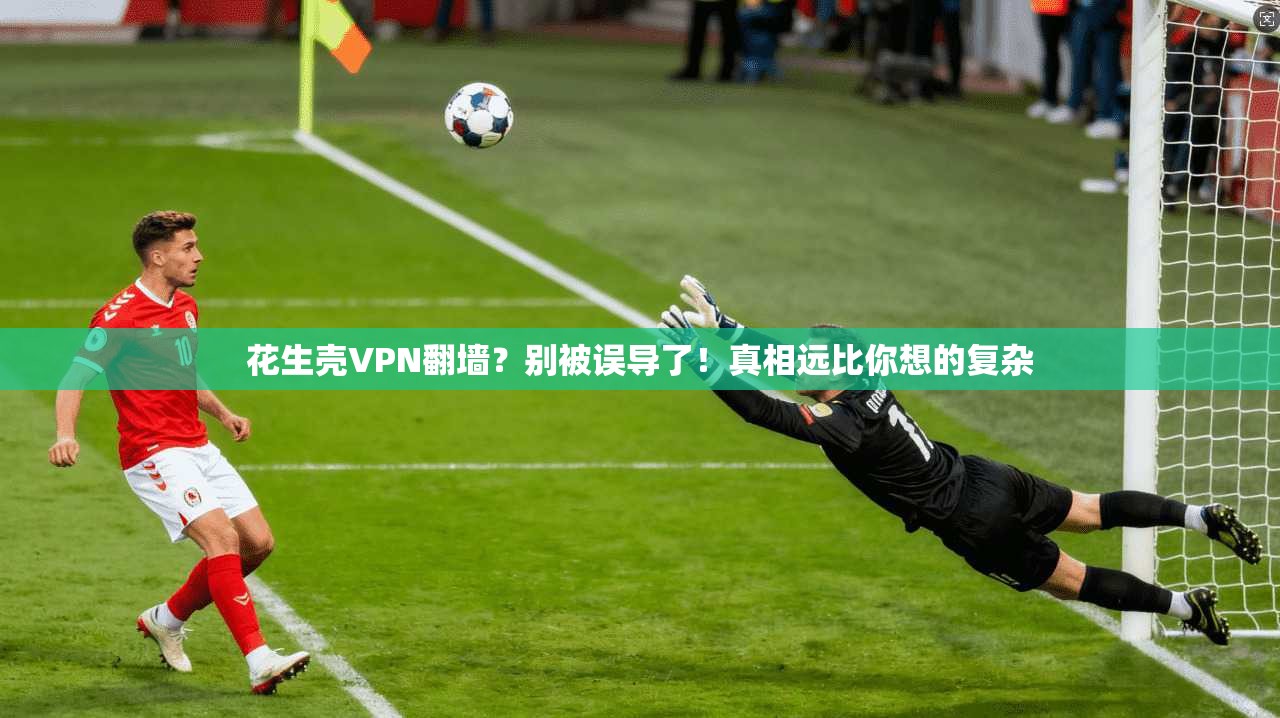 花生壳VPN翻墙?别被误导了!真相远比你想的复杂