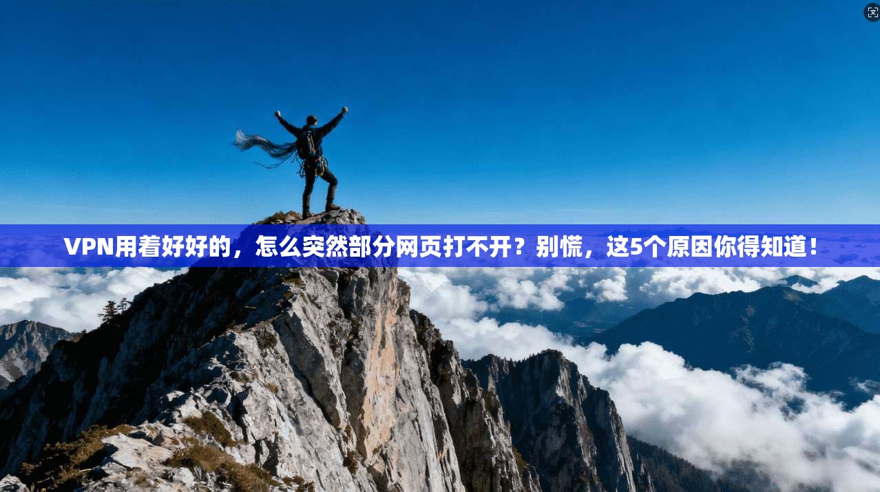 VPN用着好好的,怎么突然部分网页打不开?别慌,这5个原因你得知道!
