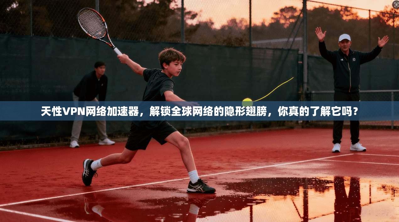 天性VPN网络加速器,解锁全球网络的隐形翅膀,你真的了解它吗?