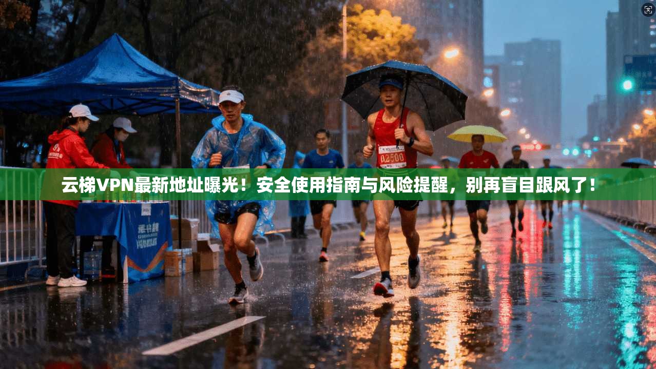 云梯VPN最新地址曝光!安全使用指南与风险提醒,别再盲目跟风了!