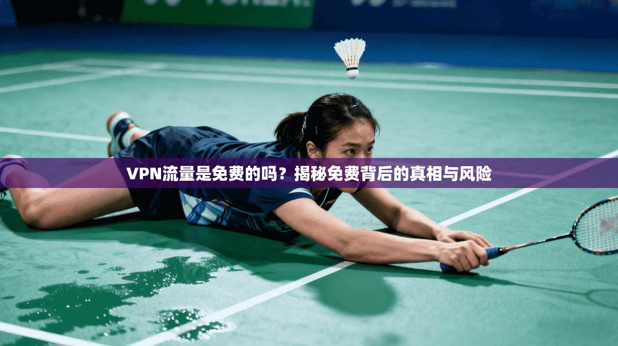 VPN流量是免费的吗？揭秘免费背后的真相与风险