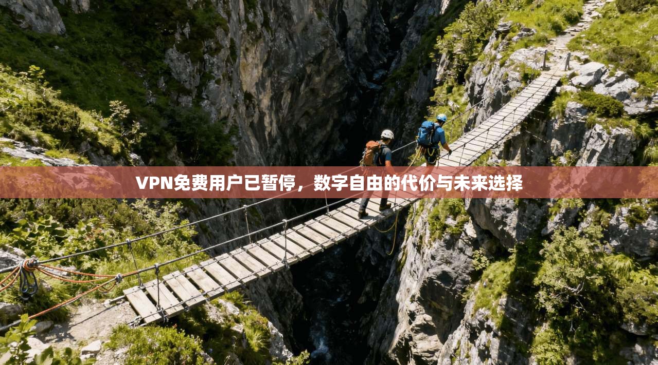 VPN免费用户已暂停,数字自由的代价与未来选择