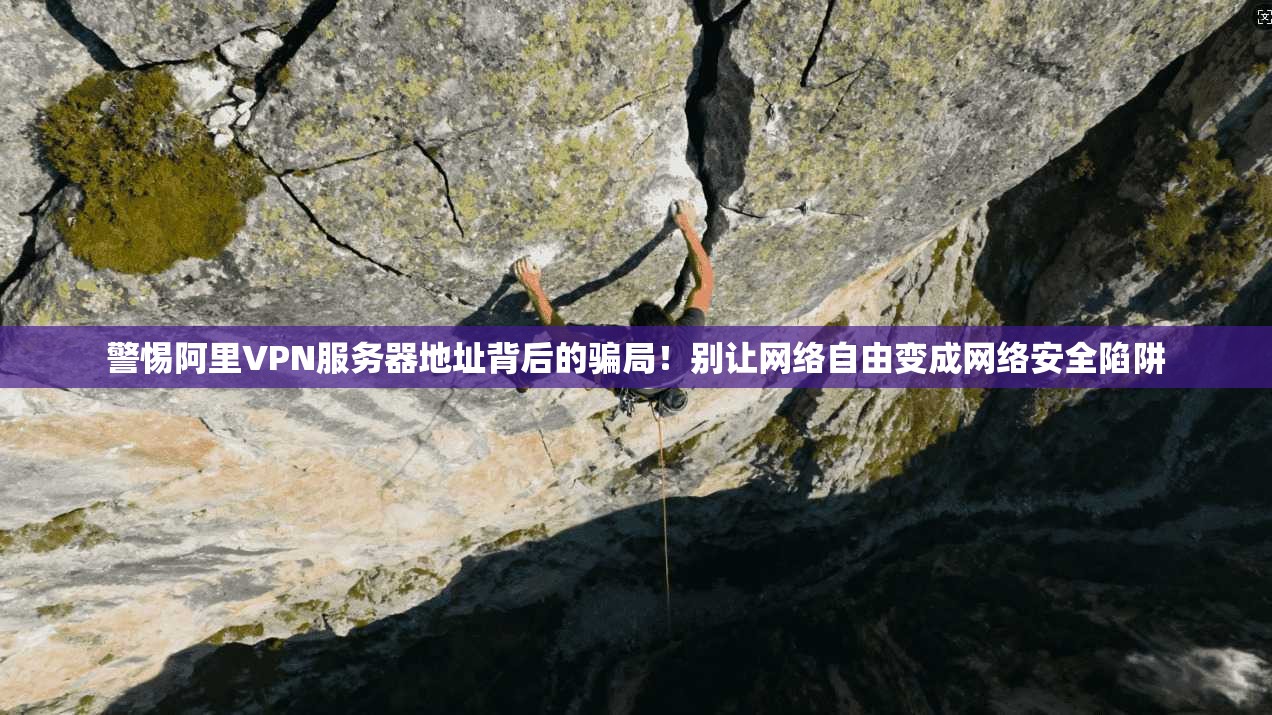 警惕阿里VPN服务器地址背后的骗局!别让网络自由变成网络安全陷阱