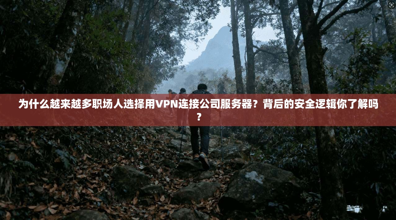 为什么越来越多职场人选择用VPN连接公司服务器？背后的安全逻辑你了解吗？