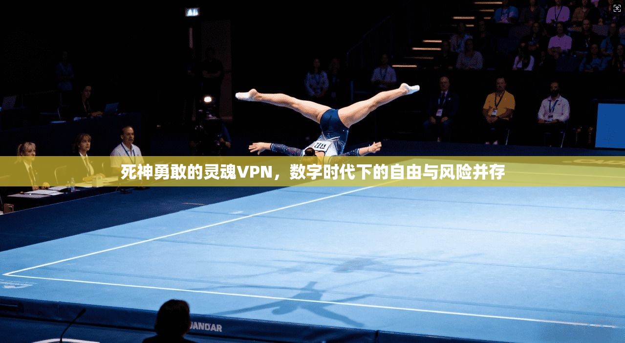 死神勇敢的灵魂VPN，数字时代下的自由与风险并存
