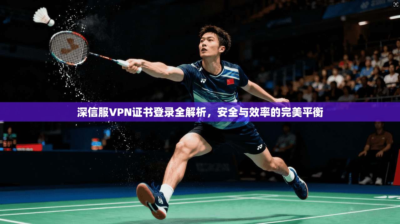 深信服VPN证书登录全解析，安全与效率的完美平衡