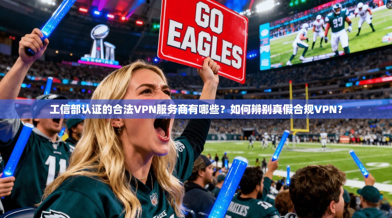 工信部认证的合法VPN服务商有哪些？如何辨别真假合规VPN？