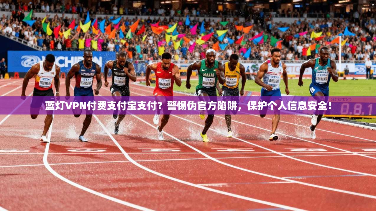 蓝灯VPN付费支付宝支付？警惕伪官方陷阱，保护个人信息安全！