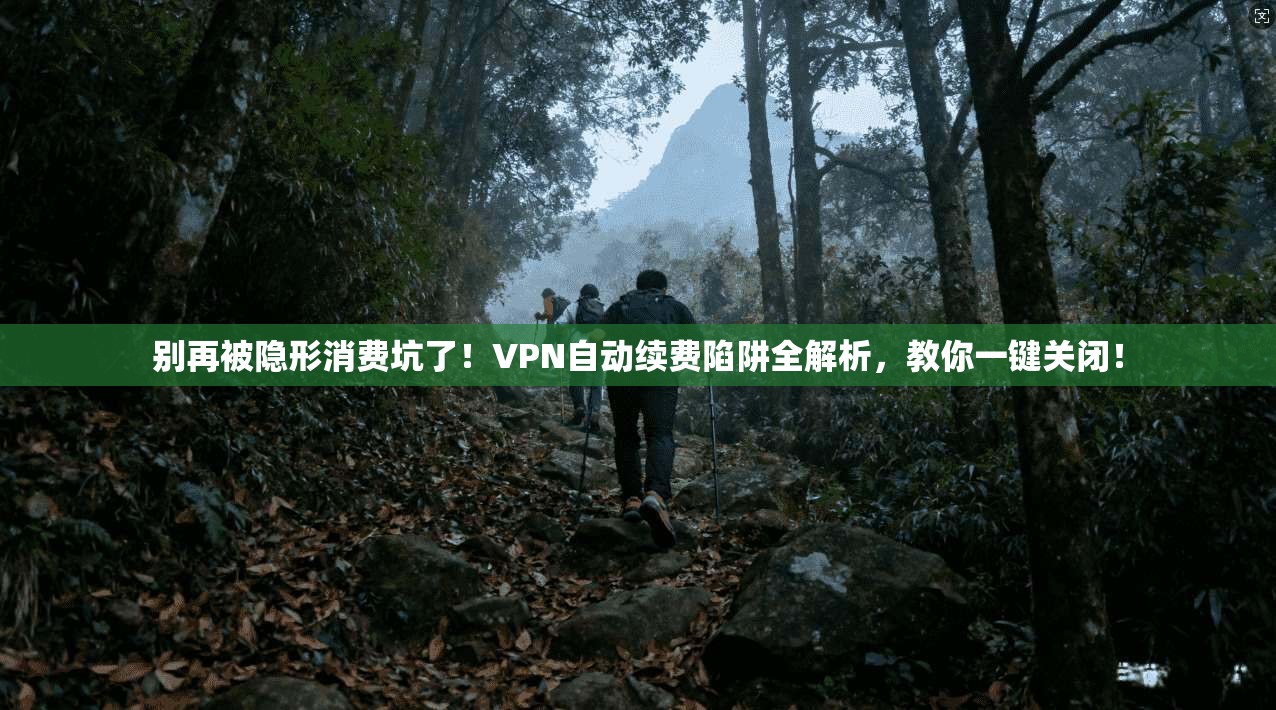 别再被隐形消费坑了！VPN自动续费陷阱全解析，教你一键关闭！
