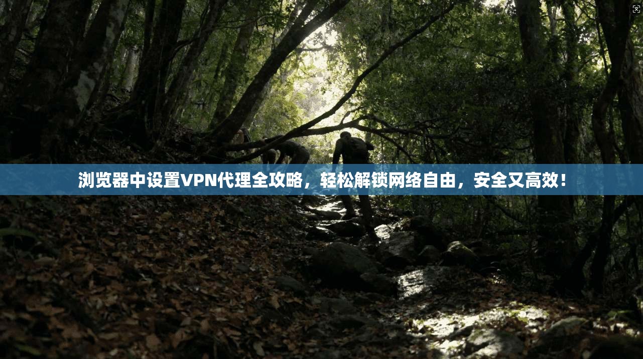 浏览器中设置VPN代理全攻略，轻松解锁网络自由，安全又高效！
