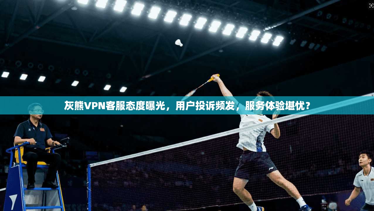 灰熊VPN客服态度曝光，用户投诉频发，服务体验堪忧？