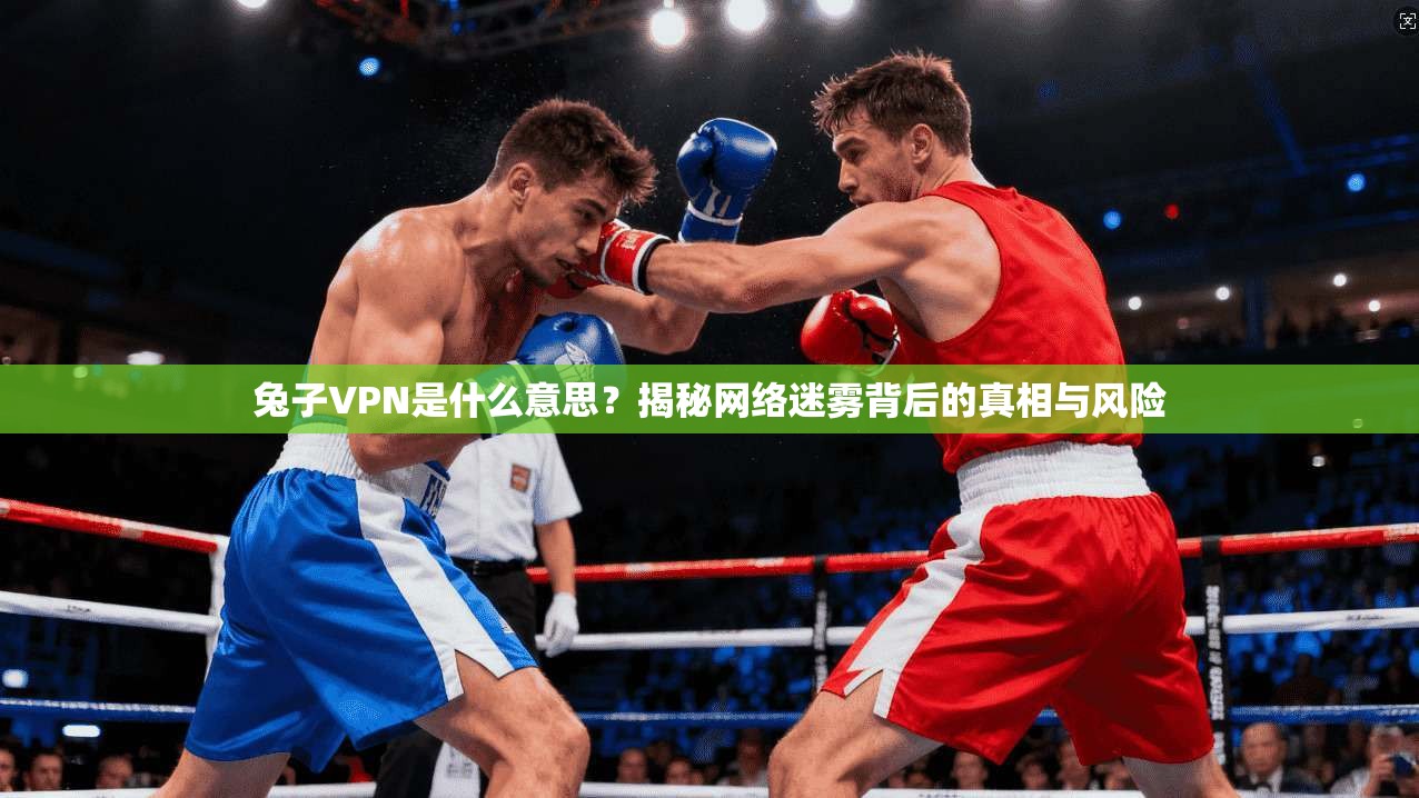 兔子VPN是什么意思?揭秘网络迷雾背后的真相与风险