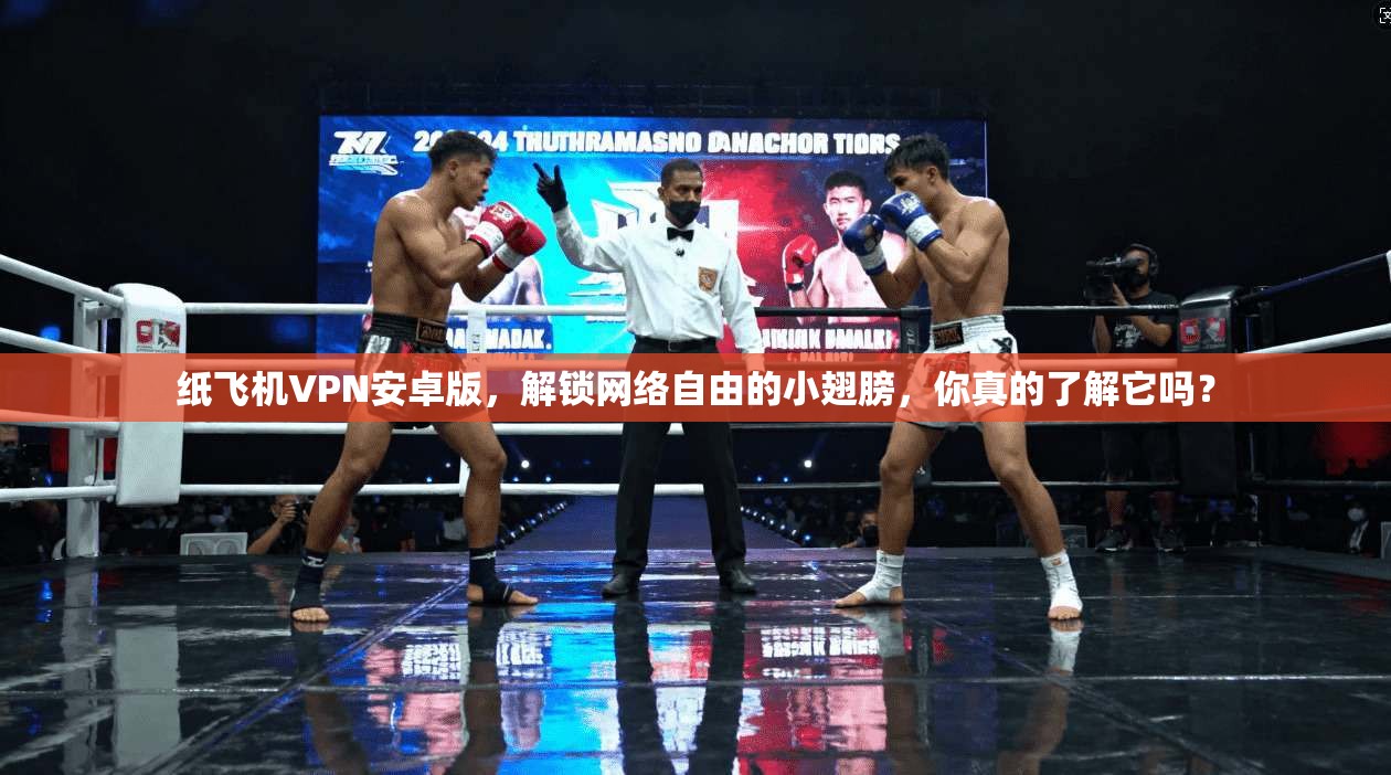 纸飞机VPN安卓版,解锁网络自由的小翅膀,你真的了解它吗?