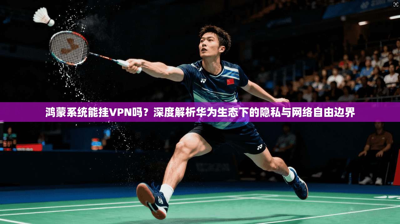 鸿蒙系统能挂VPN吗?深度解析华为生态下的隐私与网络自由边界