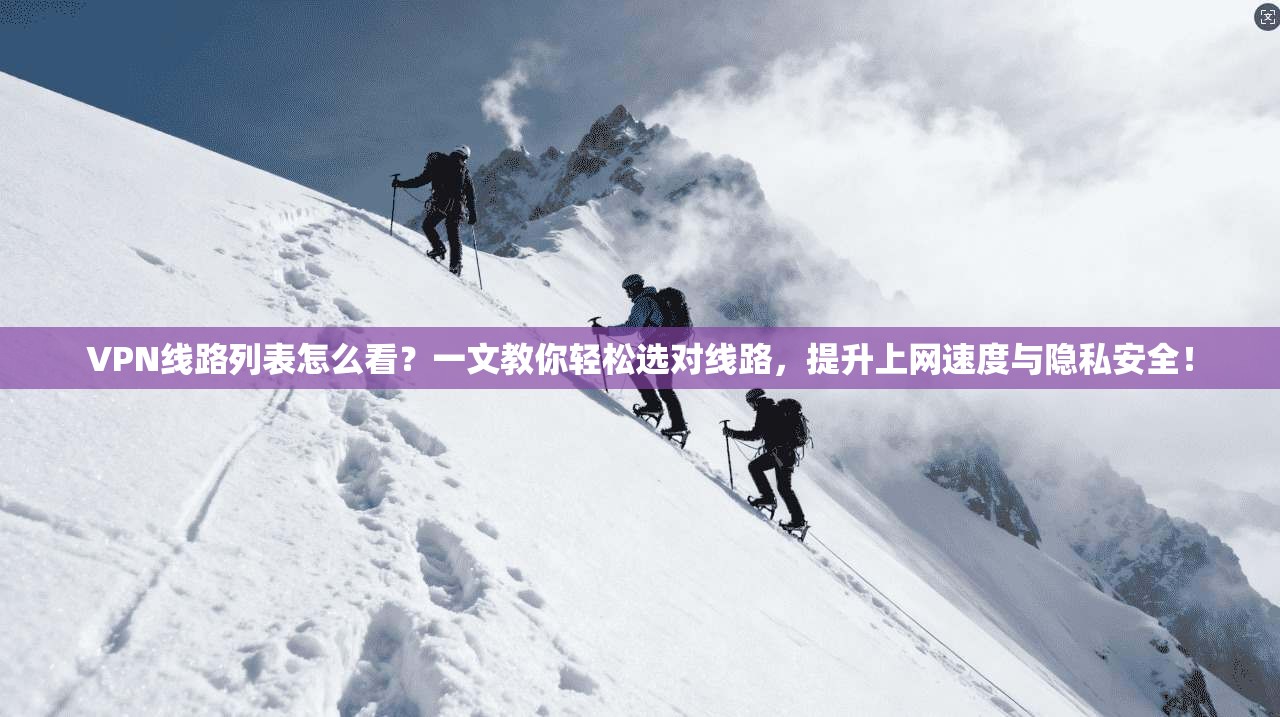 VPN线路列表怎么看?一文教你轻松选对线路,提升上网速度与隐私安全!