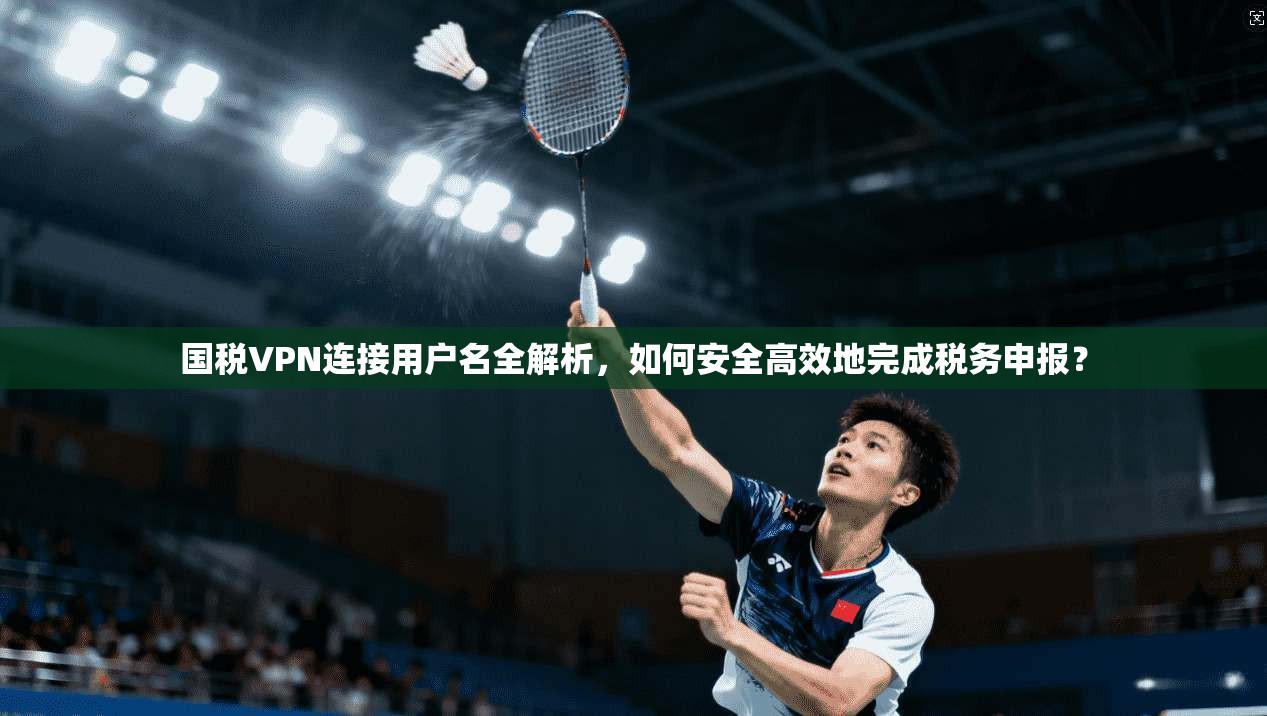 国税VPN连接用户名全解析,如何安全高效地完成税务申报?