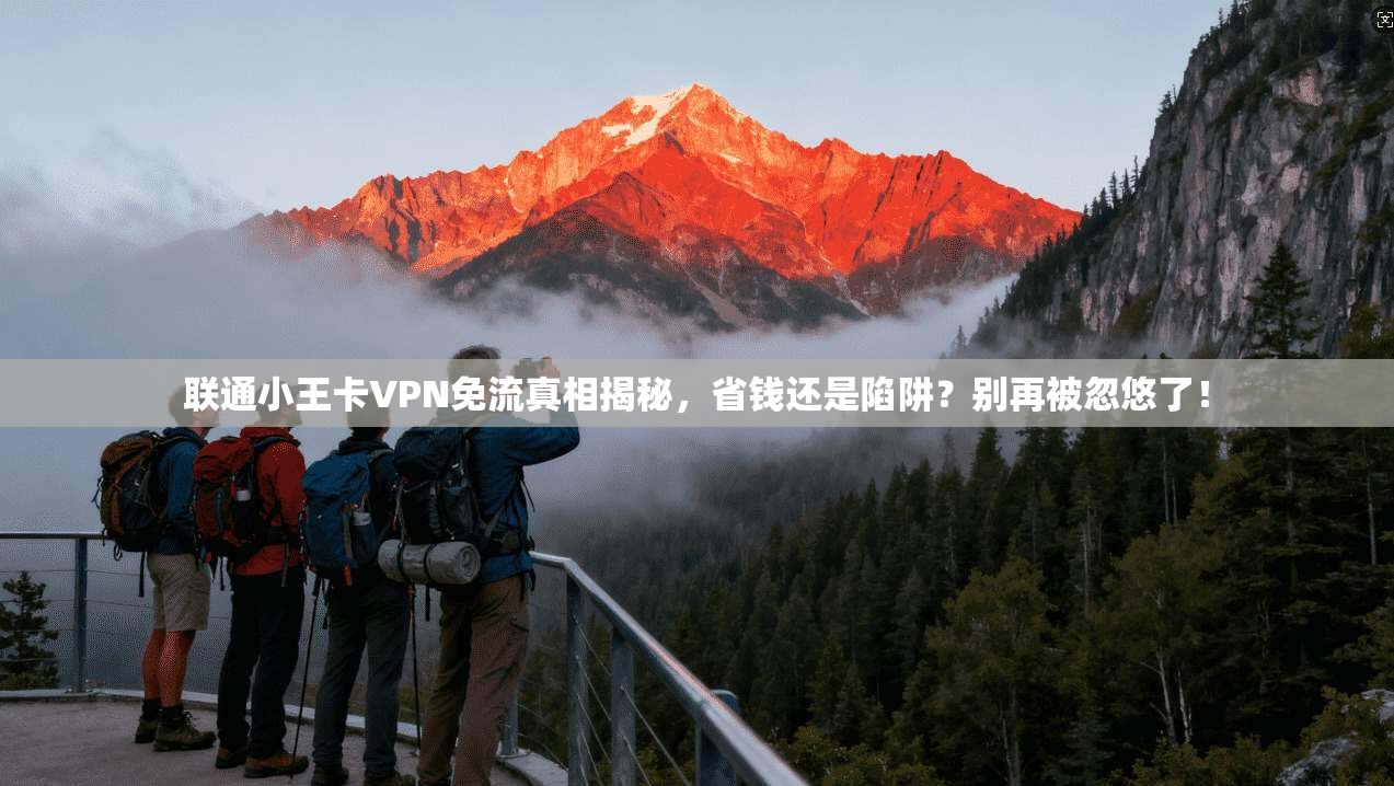 联通小王卡VPN免流真相揭秘,省钱还是陷阱?别再被忽悠了!