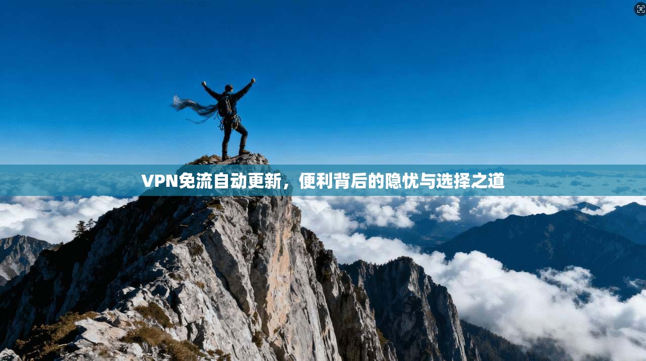 VPN免流自动更新，便利背后的隐忧与选择之道