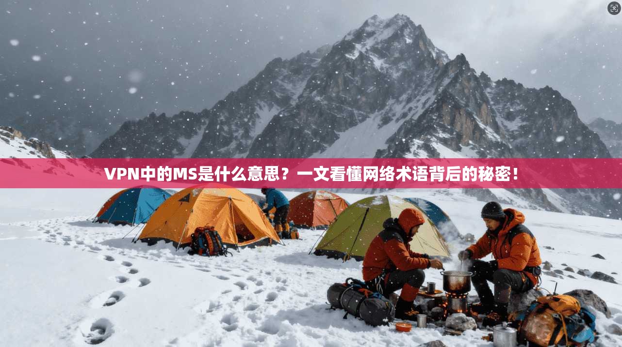 VPN中的MS是什么意思？一文看懂网络术语背后的秘密！