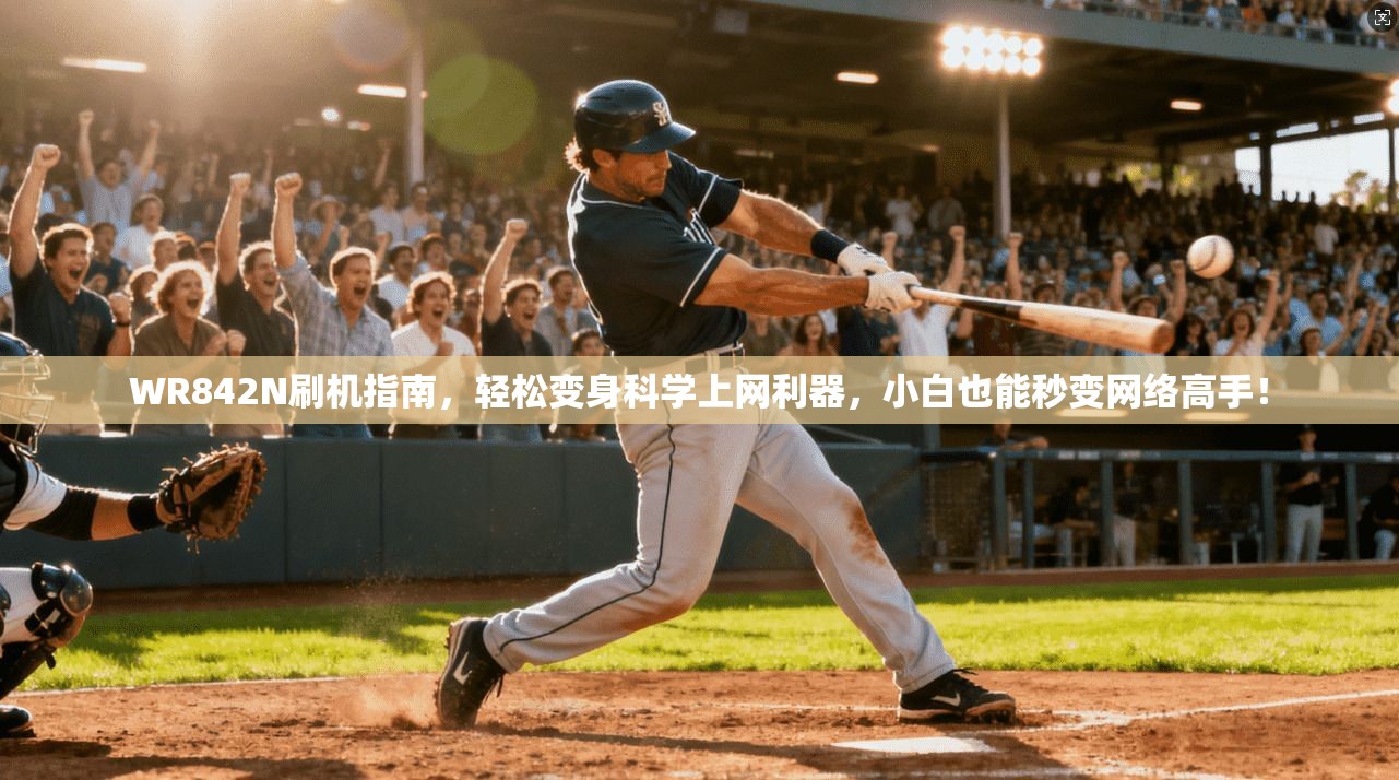 WR842N刷机指南,轻松变身科学上网利器,小白也能秒变网络高手!