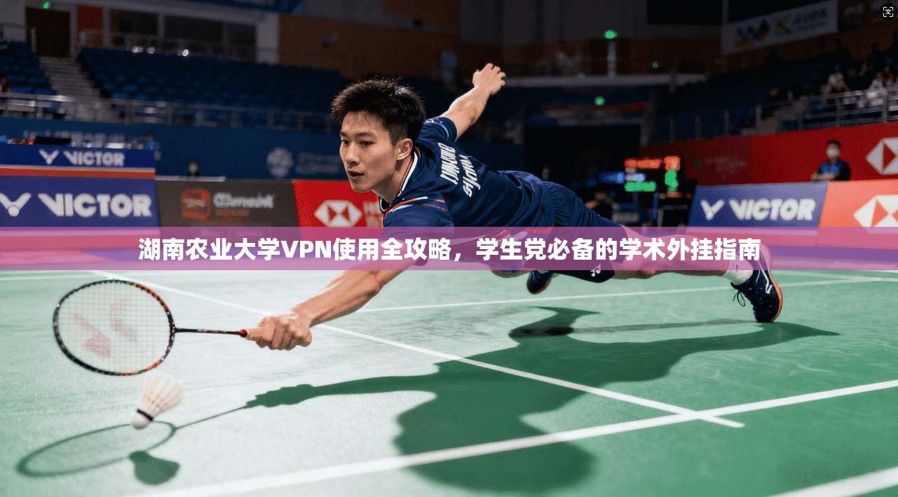 湖南农业大学VPN使用全攻略，学生党必备的学术外挂指南