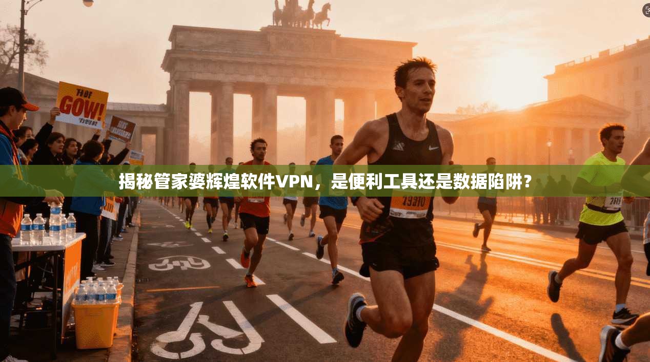 揭秘管家婆辉煌软件VPN，是便利工具还是数据陷阱？