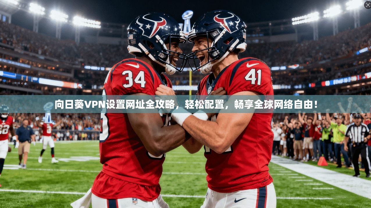 向日葵VPN设置网址全攻略，轻松配置，畅享全球网络自由！