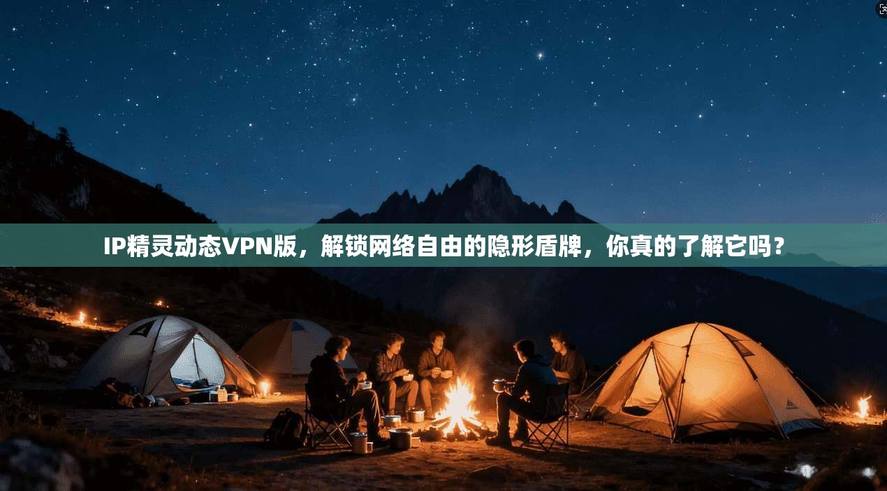 IP精灵动态VPN版，解锁网络自由的隐形盾牌，你真的了解它吗？