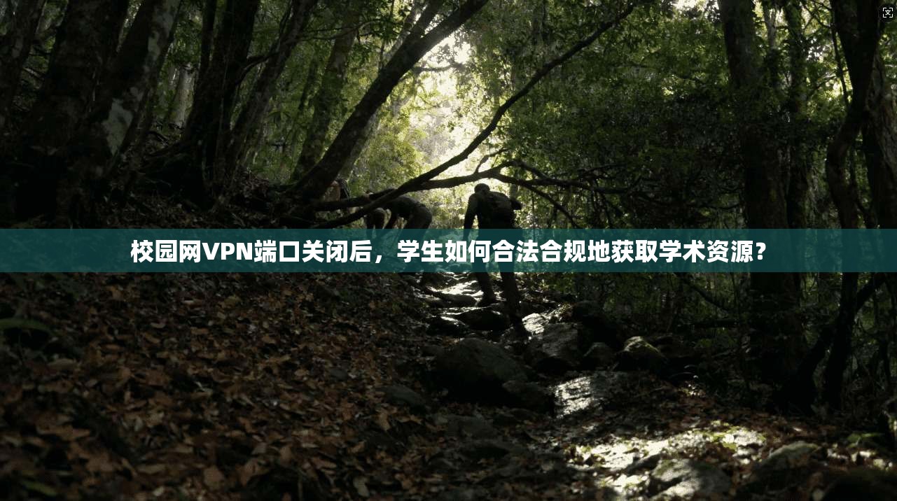 校园网VPN端口关闭后，学生如何合法合规地获取学术资源？