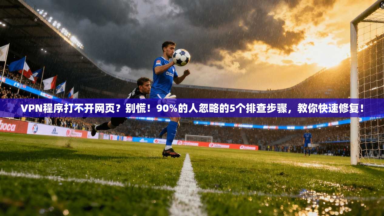 VPN程序打不开网页？别慌！90%的人忽略的5个排查步骤，教你快速修复！