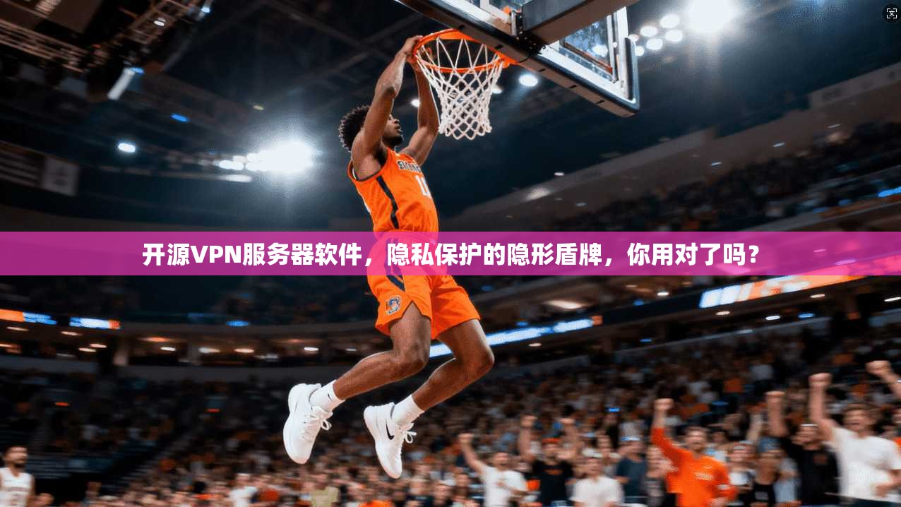 开源VPN服务器软件，隐私保护的隐形盾牌，你用对了吗？
