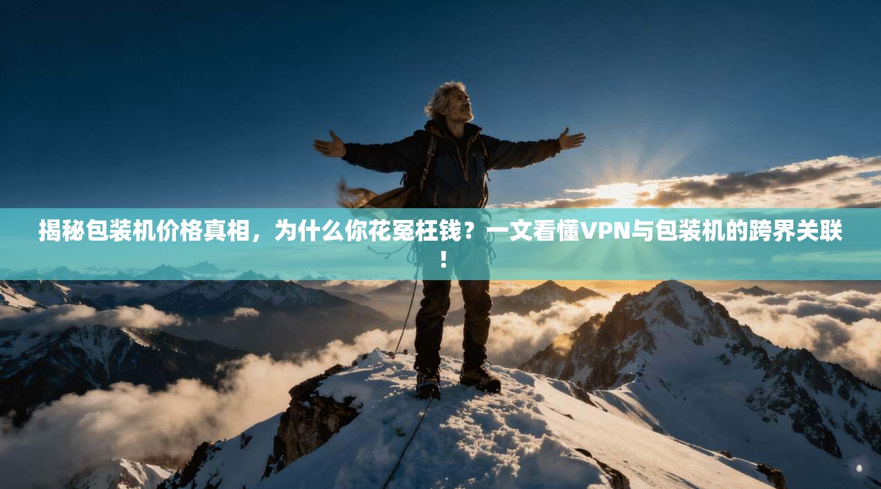 揭秘包装机价格真相,为什么你花冤枉钱?一文看懂VPN与包装机的跨界关联!