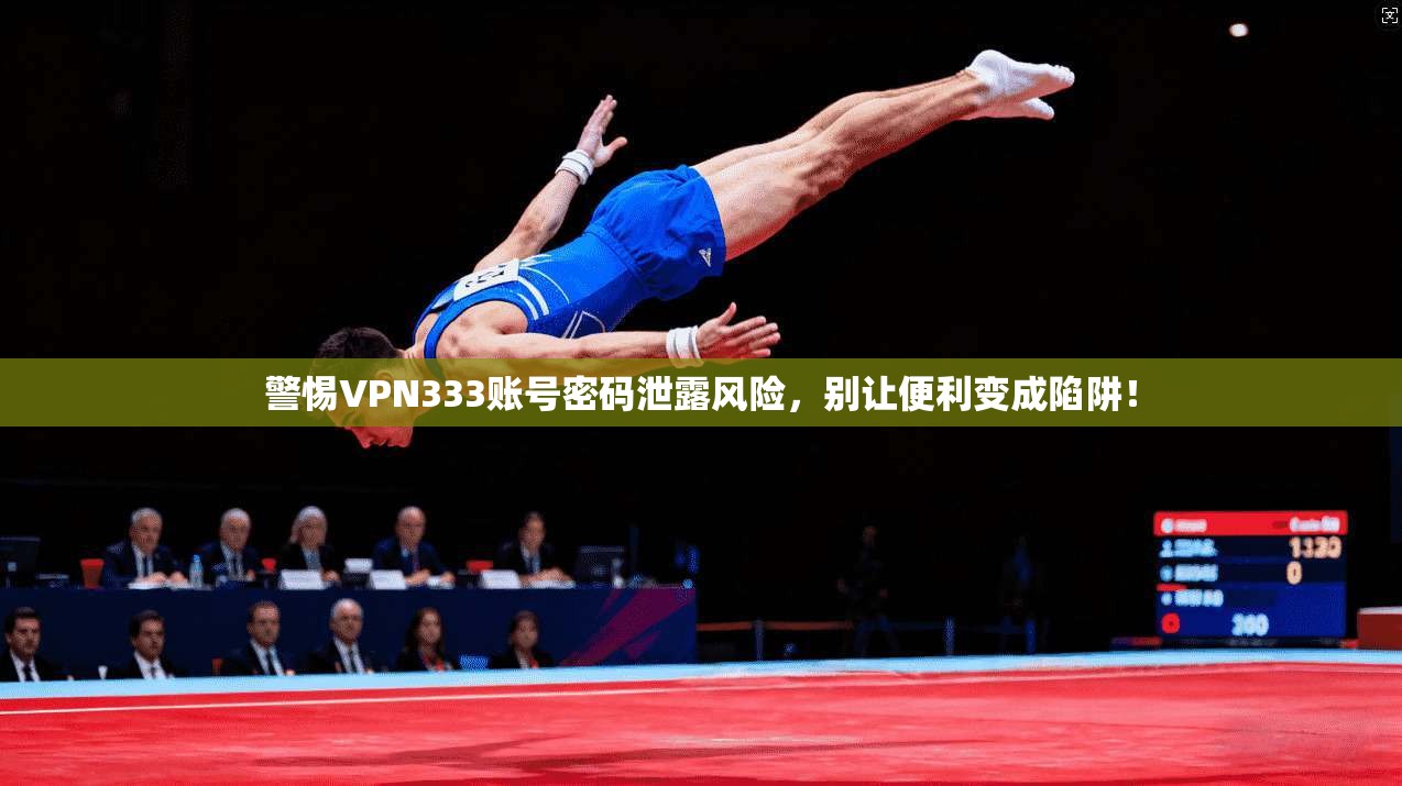 警惕VPN333账号密码泄露风险，别让便利变成陷阱！