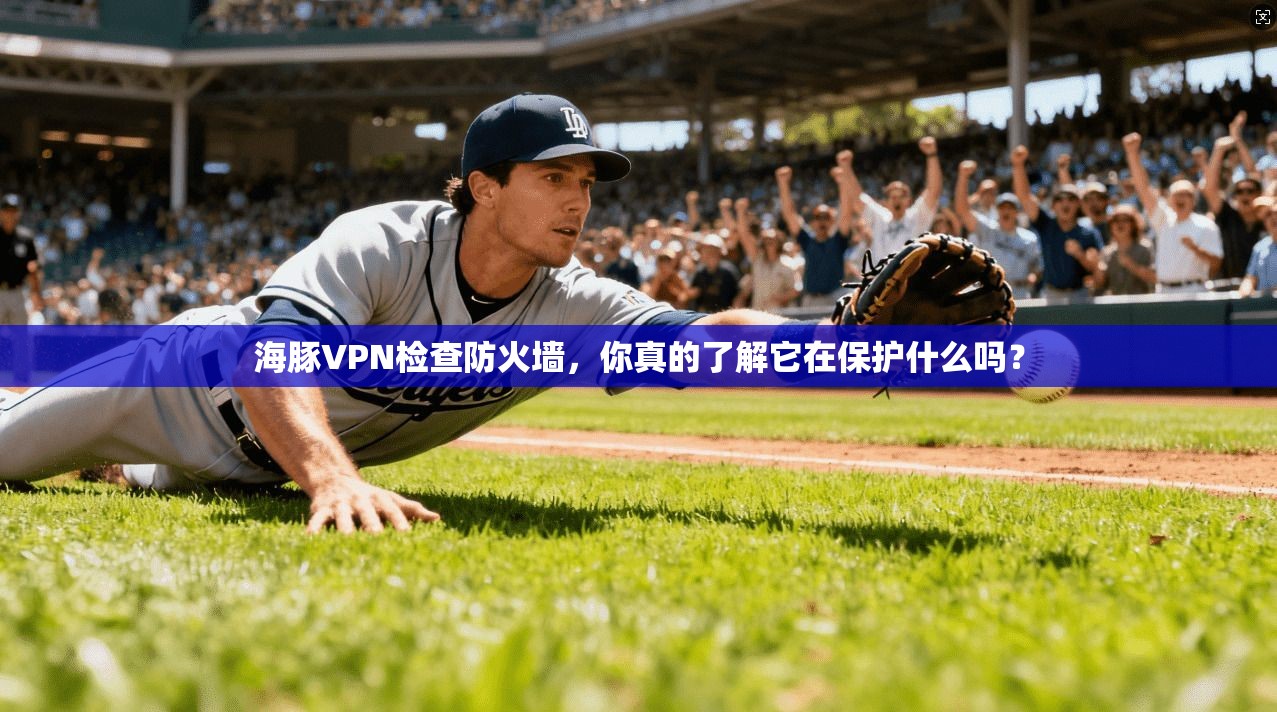 海豚VPN检查防火墙，你真的了解它在保护什么吗？