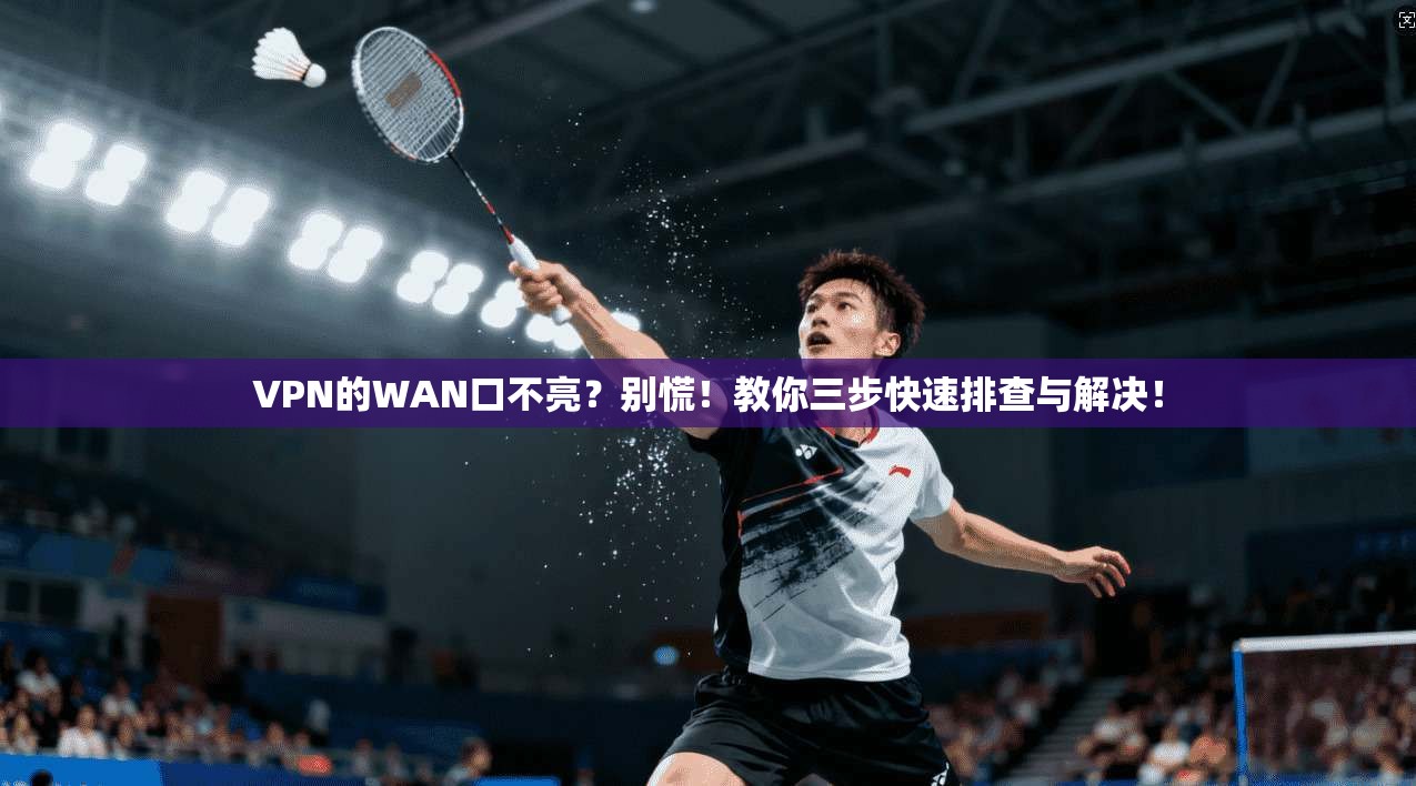 VPN的WAN口不亮？别慌！教你三步快速排查与解决！