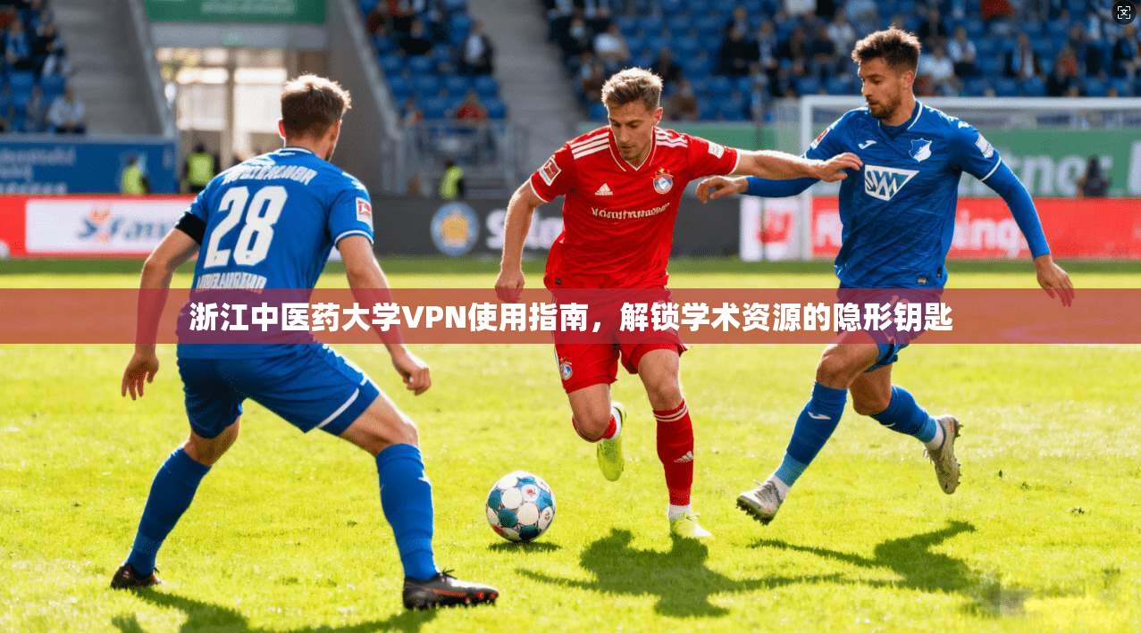 浙江中医药大学VPN使用指南,解锁学术资源的隐形钥匙