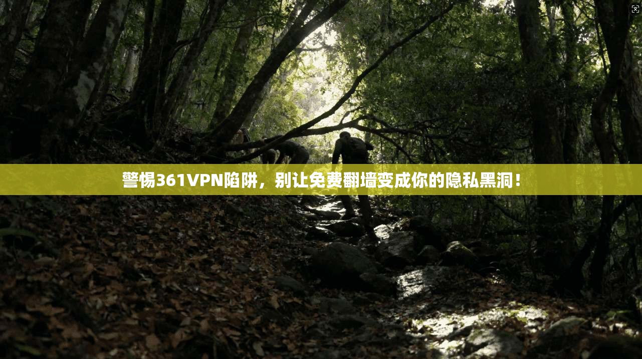 警惕361VPN陷阱，别让免费翻墙变成你的隐私黑洞！