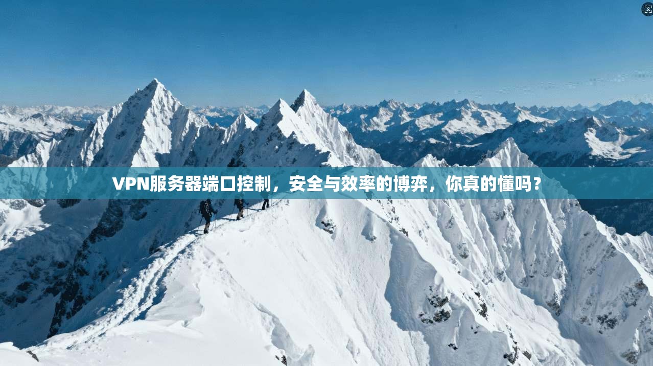 VPN服务器端口控制,安全与效率的博弈,你真的懂吗?